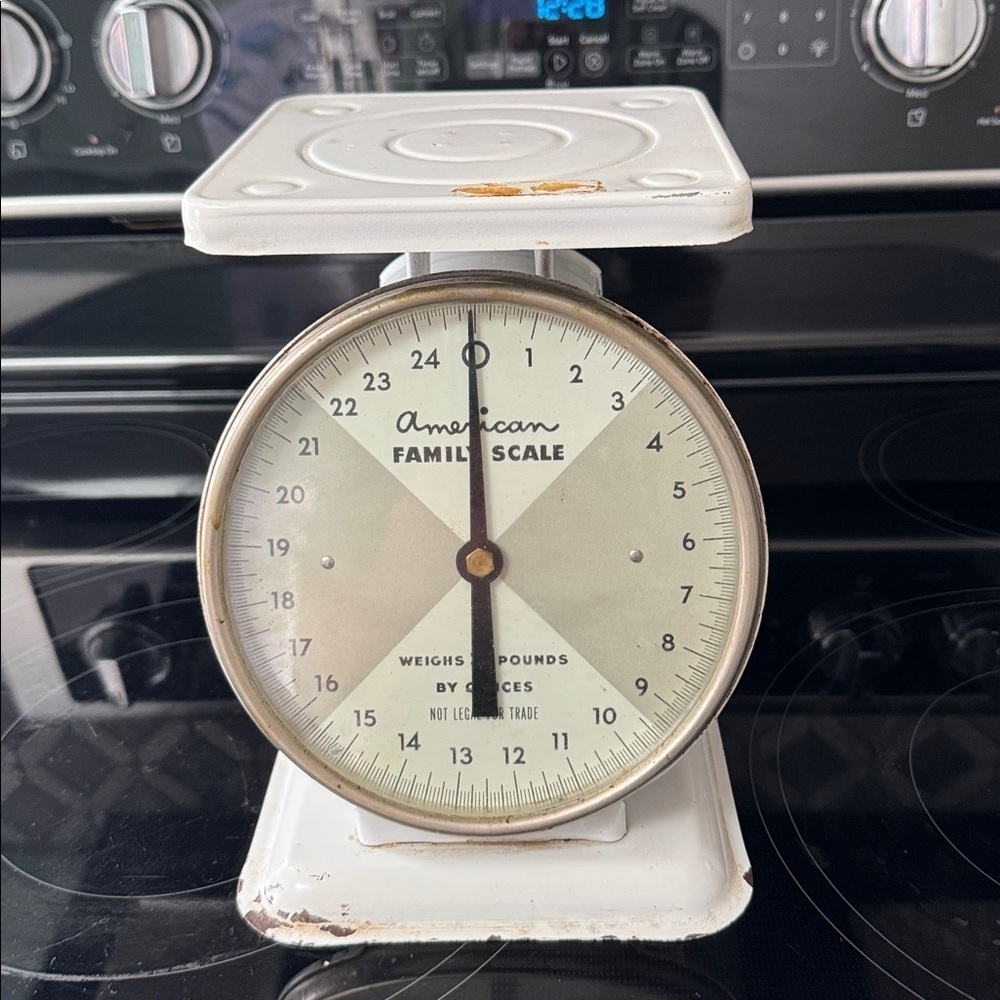 Vintage American Family Scale